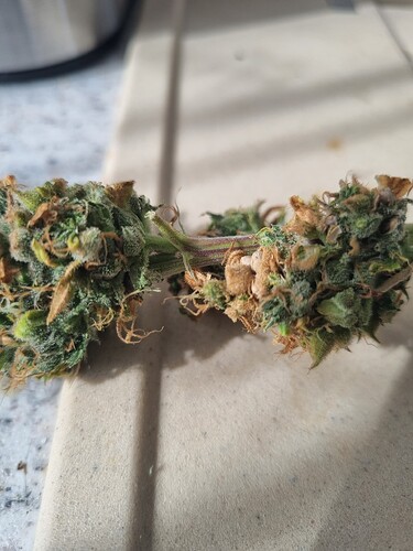 Growreport Bild 2