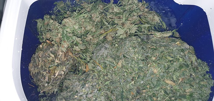 Growreport Bild 22