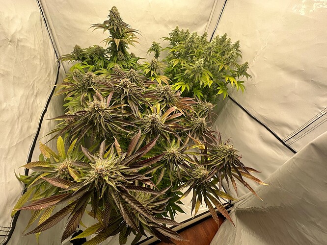 Growreport Bild 14