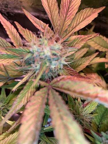 Growreport Bild 10