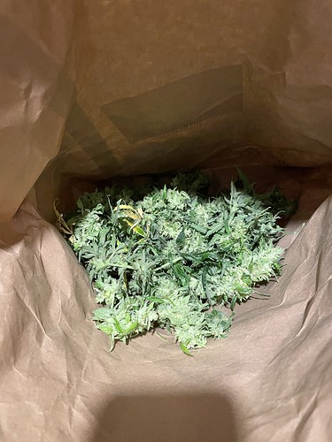 Growreport Bild 8