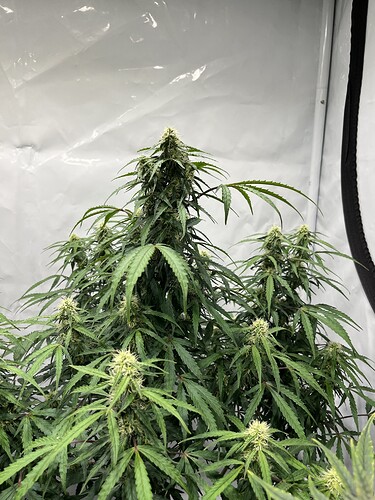 Growreport Bild 16