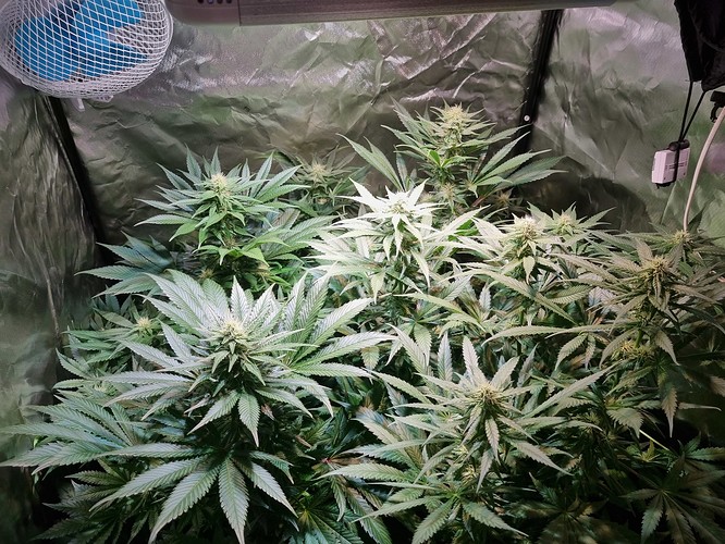 Growreport Bild 22