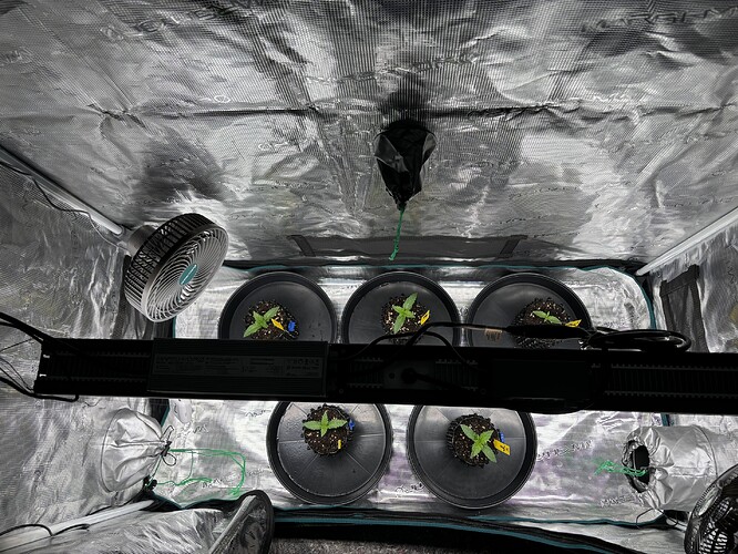 Growreport Bild 75