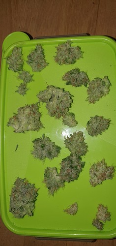 Growreport Bild 4