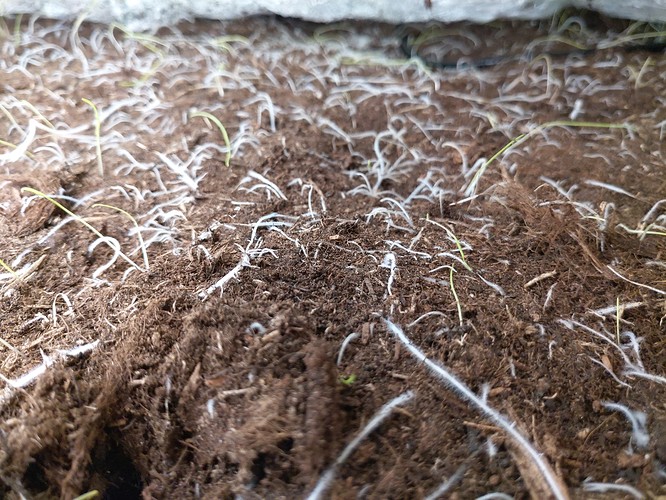 Growreport Bild 5