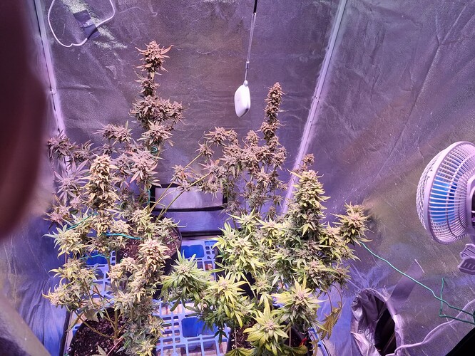 Growreport Bild 7