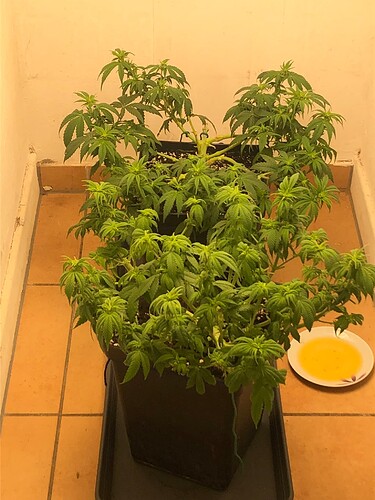 Growreport Bild 8