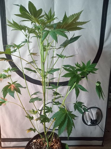 Growreport Bild 26