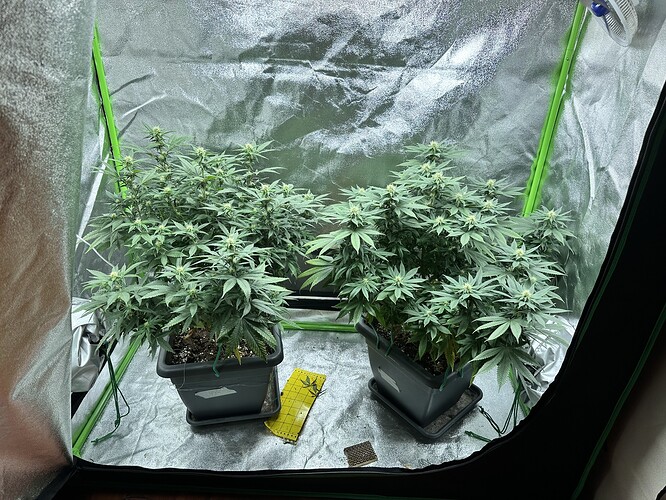 Growreport Bild 5