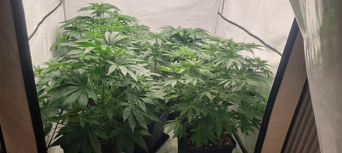 Growreport Bild 21