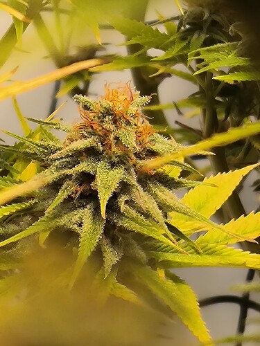 Growreport Bild 17