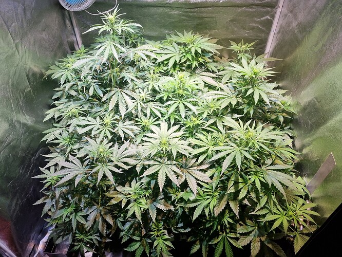 Growreport Bild 11