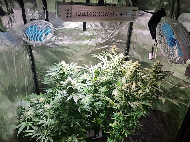 Growreport Bild 14