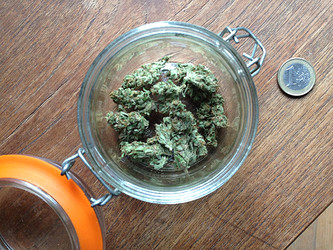 Growreport Bild 19