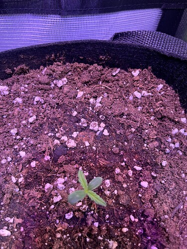 Growreport Bild 14