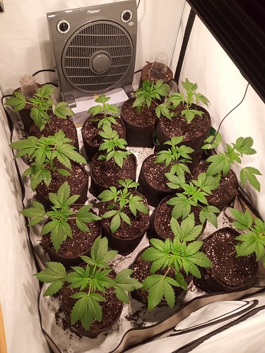 Growreport Bild 10