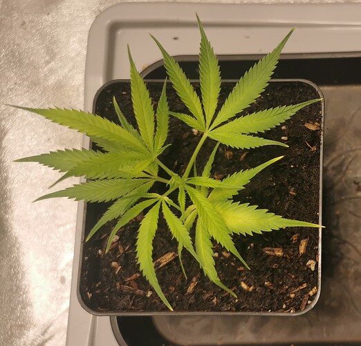 Growreport Bild 14