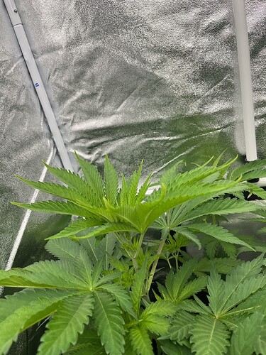 Growreport Bild 7