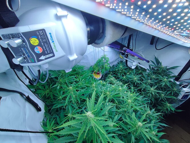Growreport Bild 21