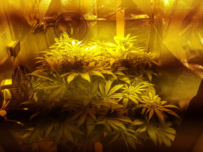 Growreport Bild 9