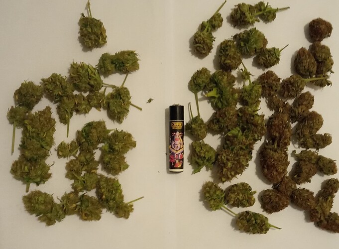 Growreport Bild 18