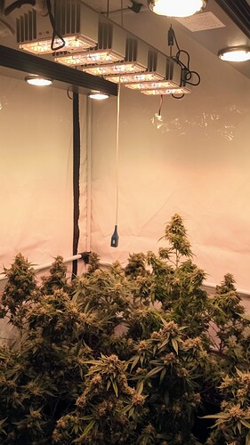Growreport Bild 15