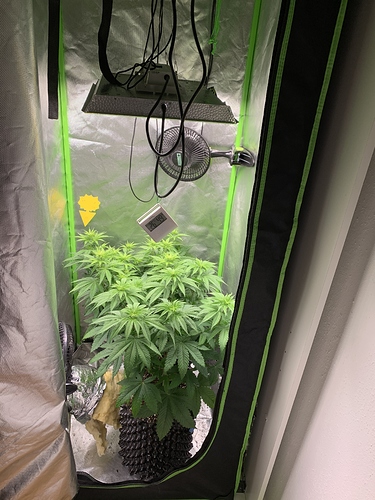 Growreport Bild 1