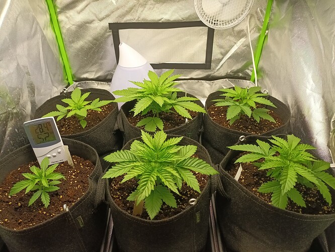 Growreport Bild 9