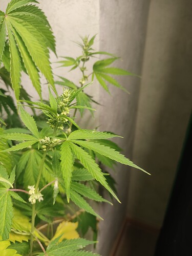 Growreport Bild 2