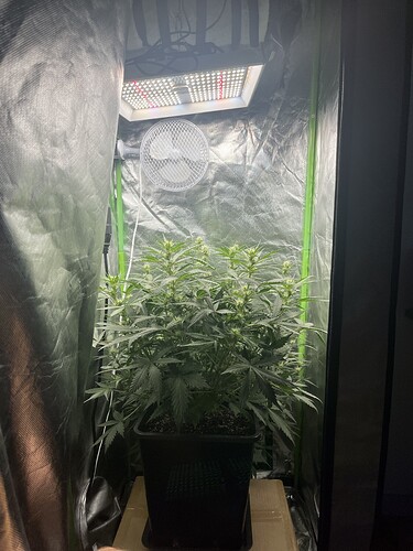 Growreport Bild 9