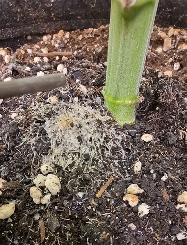 Growreport Bild 10
