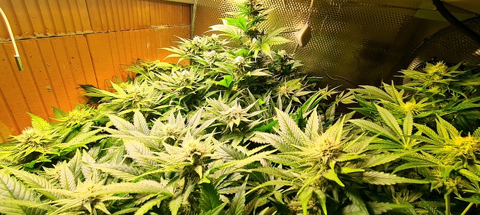 20211011_192916_remastered