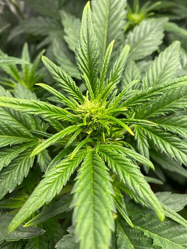 Growreport Bild 8
