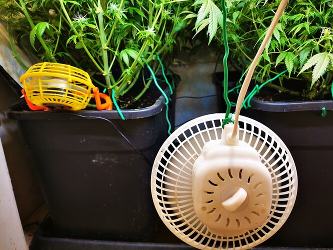 Growreport Bild 5