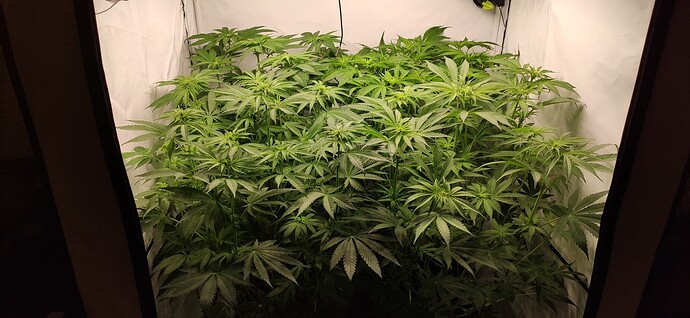 Growreport Bild 11