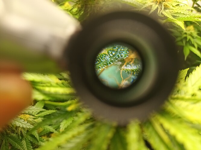 Growreport Bild 13