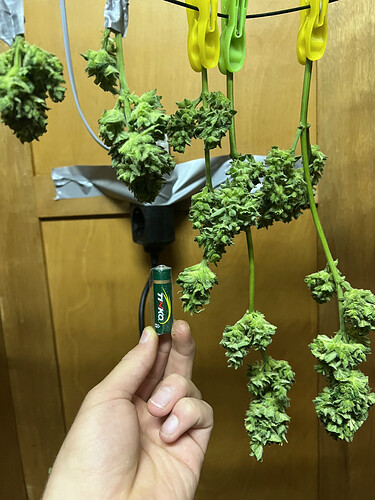 Growreport Bild 23