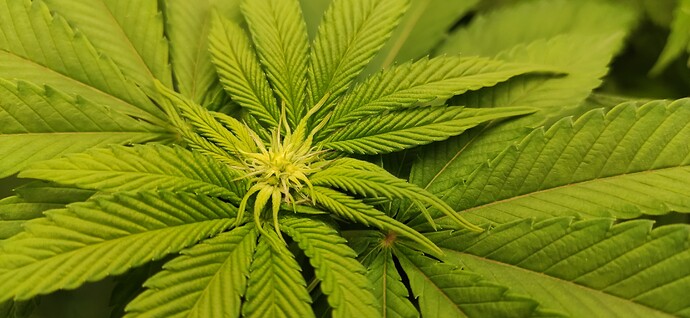Growreport Bild 8