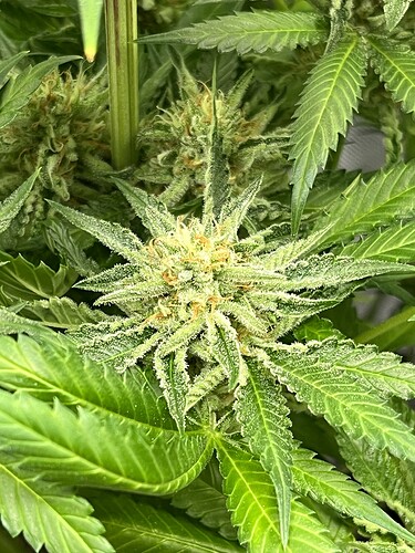 Growreport Bild 10