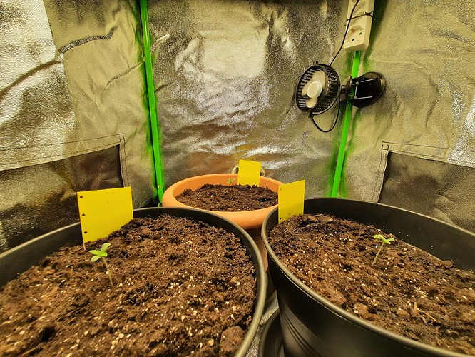 Growreport Bild 5