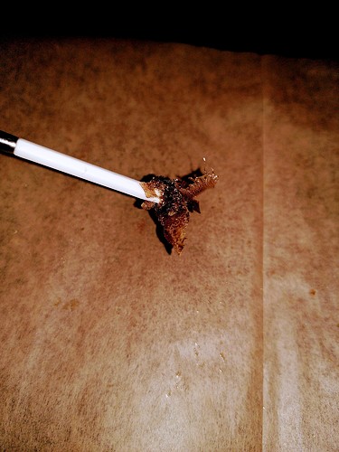 obscura1637431694381