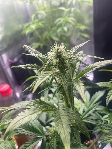 Growreport Bild 16