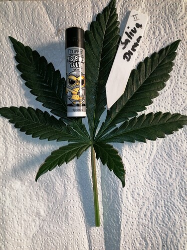 Growreport Bild 10