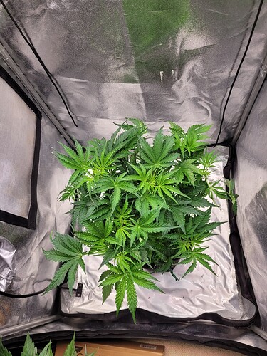 Growreport Bild 24