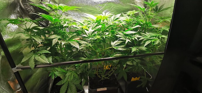 Growreport Bild 7