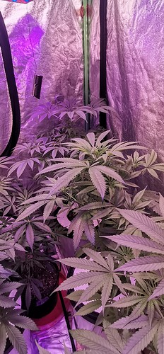 Growreport Bild 7