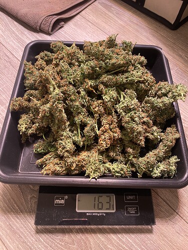 Growreport Bild 3