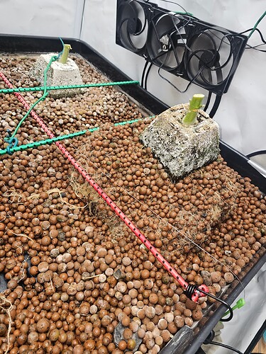 Growreport Bild 7