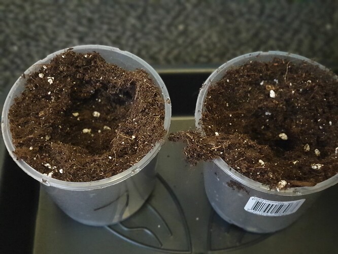 20231010_140729 - Kopie